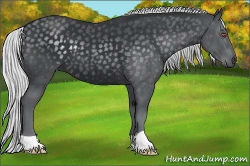 Horse Color:Silver Black Chinchilla 