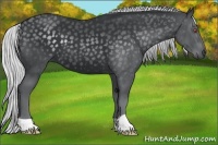 Horse Color:Silver Black Chinchilla