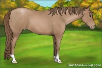 Horse Color:Black Pearl 