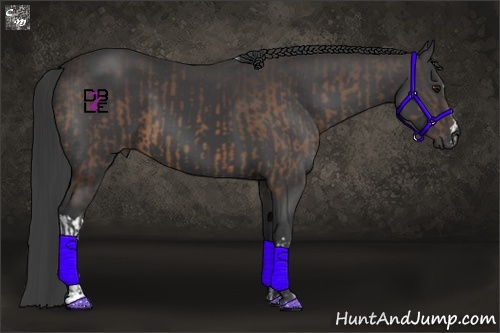Horse Color:Buckskin  and Smoky Black 