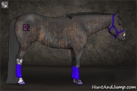 Horse Color:Buckskin and Smoky Black