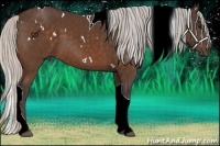 Horse Color:White Spotted Silver Bay Tobiano