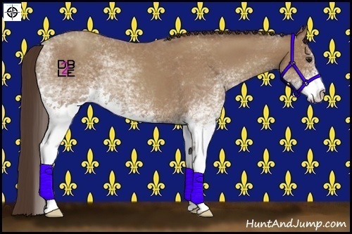 Horse Color:White Spotted Classic Champagne 