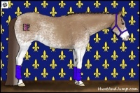 Horse Color:White Spotted Classic Champagne