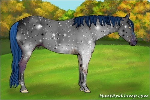 Horse Color:ERROR: UNKNOWN ANOMALY