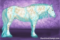Horse Color:Thunderstruck Palomino Dun Splash Appaloosa