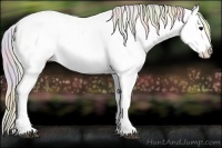 Horse Color:Nacre Silver Black Ice Appaloosa