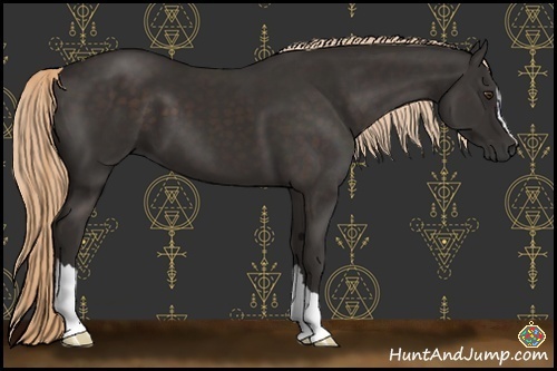 Horse Color:Liver Chestnut 