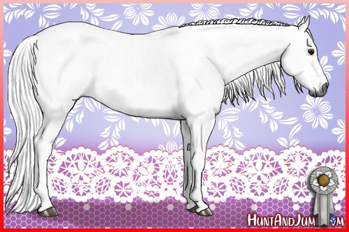 Horse Color:Gray Brown Sabino Tobiano