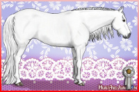 Horse Color:Gray Brown Sabino Tobiano