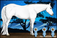 Horse Color:Gray Silver Bay Sabino