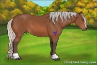 Horse Color:Silver Bay Sabino
