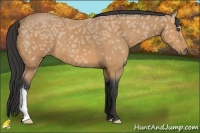 Horse Color:Buckskin Ice 