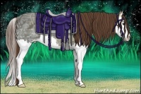 Horse Color:Liver Chestnut Ice Splash 