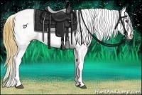 Horse Color:Watercolor Liver Red Dun Sabino Appaloosa