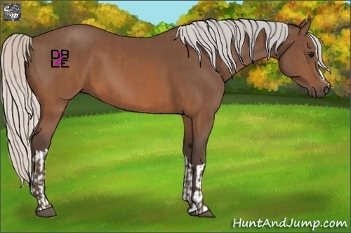 Horse Color:Silver Brown and Silver Brown