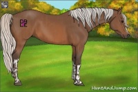 Horse Color:Silver Brown  and Silver Brown 
