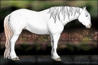 Horse Color:Buckskin Pearl Frame Blanket Rabicano