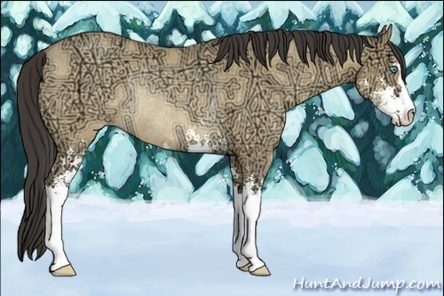 Horse Color:Amber Cream Champagne Ice Dun Sabino Rabicano