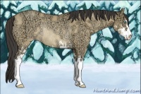 Horse Color:Amber Cream Champagne Ice Dun Sabino Rabicano
