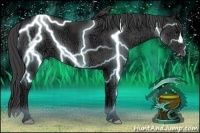 Horse Color:Smoky Black Ice