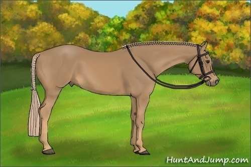 Horse Color:Palomino 