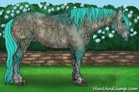 Horse Color:Watercolor Bay Ice Onyx