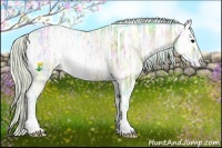 Horse Color:Watercolor Silver Bay Ice Onyx Varnish 