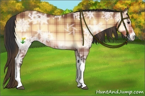 Horse Color:Plaid Buckskin Ice Onyx Tobiano