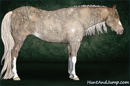 Horse Color:Silver Amber Champagne Ice Rabicano 