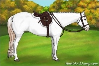 Horse Color:White Spotted Grullo Pearl Appaloosa 