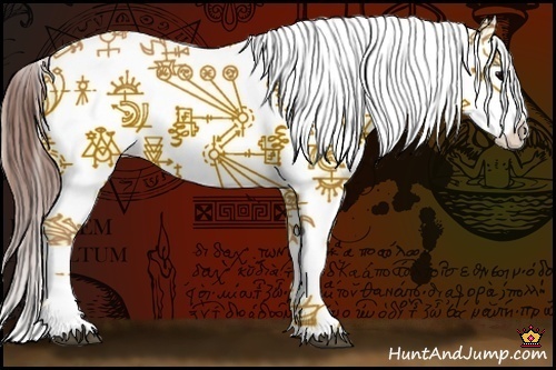 Horse Color:Buckskin Roan Onyx Splash Varnish