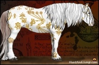 Horse Color:Buckskin Roan Onyx Splash Varnish