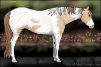 Horse Color:Bay Dun Tobiano Frame Varnish 