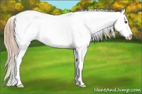 Horse Color:Red Dun Roan Splash Varnish