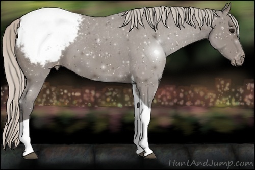 Horse Color:Silver Black Tobiano Snowcap