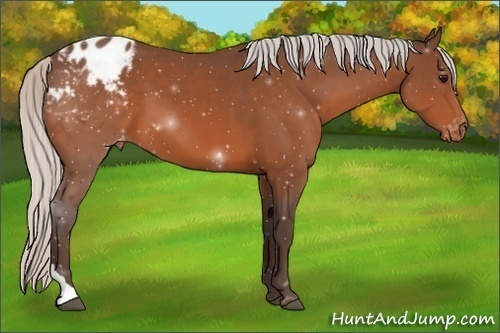 Horse Color:Silver Bay Tobiano Varnish 