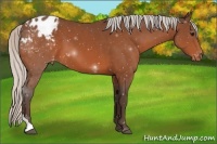 Horse Color:Silver Bay Tobiano Varnish 