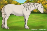 Horse Color:Smoky Creme Sabino