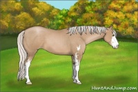 Horse Color:Silver Black Pearl Sabino 