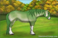 Horse Color:Watercolor Blue Onyx