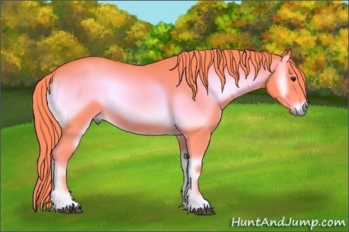 Horse Color:Watercolor Red Onyx