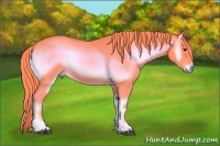 Horse Color:Watercolor Red Onyx 