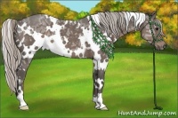 Horse Color:White Spotted Silver Black Ice 