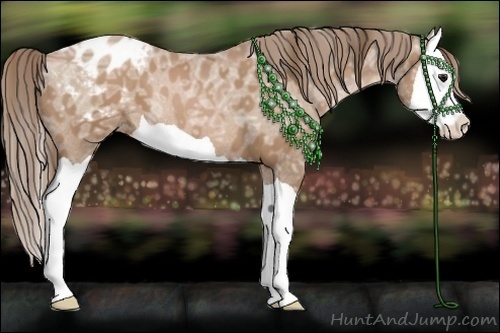 Horse Color:Black Ice Pearl Splash Appaloosa