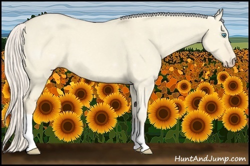 Horse Color:Cremello Dun 