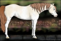 Horse Color:White Spotted Buckskin Pearl Dun Sabino