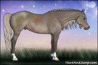 Horse Color:Silver Black 