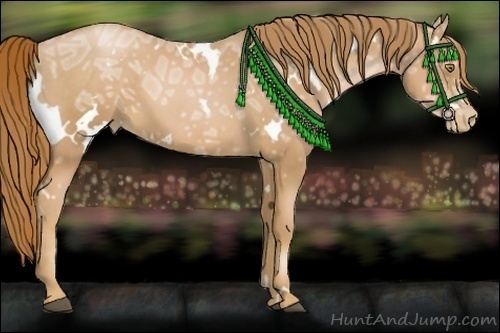 Horse Color:White Spotted Chestnut Ice Pearl