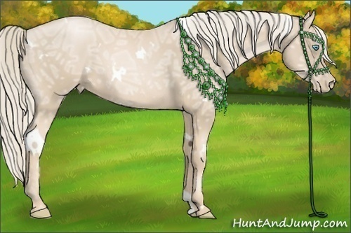 Horse Color:White Spotted Palomino Ice Pearl 